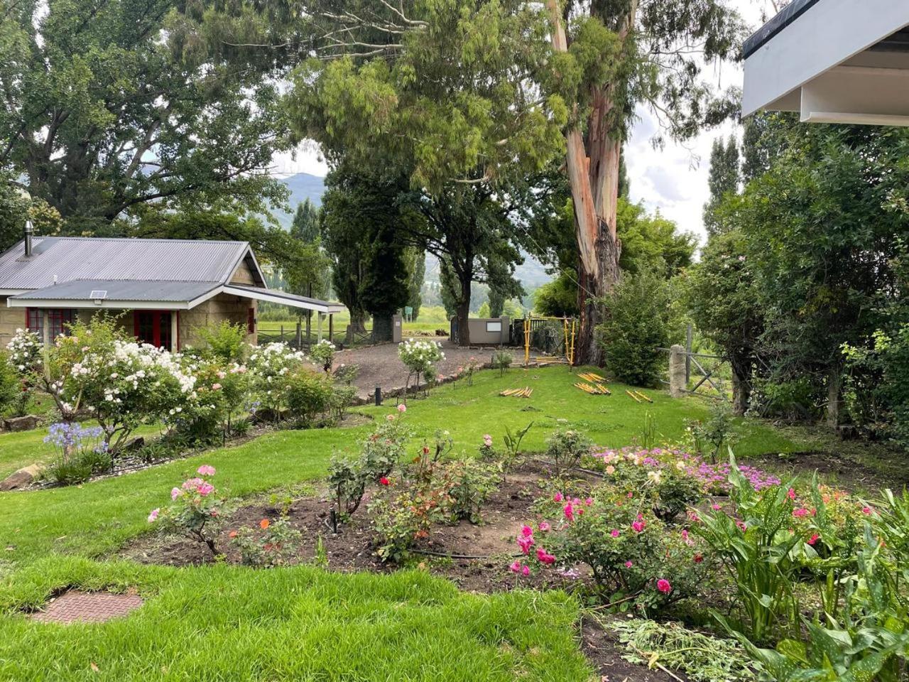 Periwinkle, Grove ,Acorn & Sage Cottages Clarens Eksteriør billede