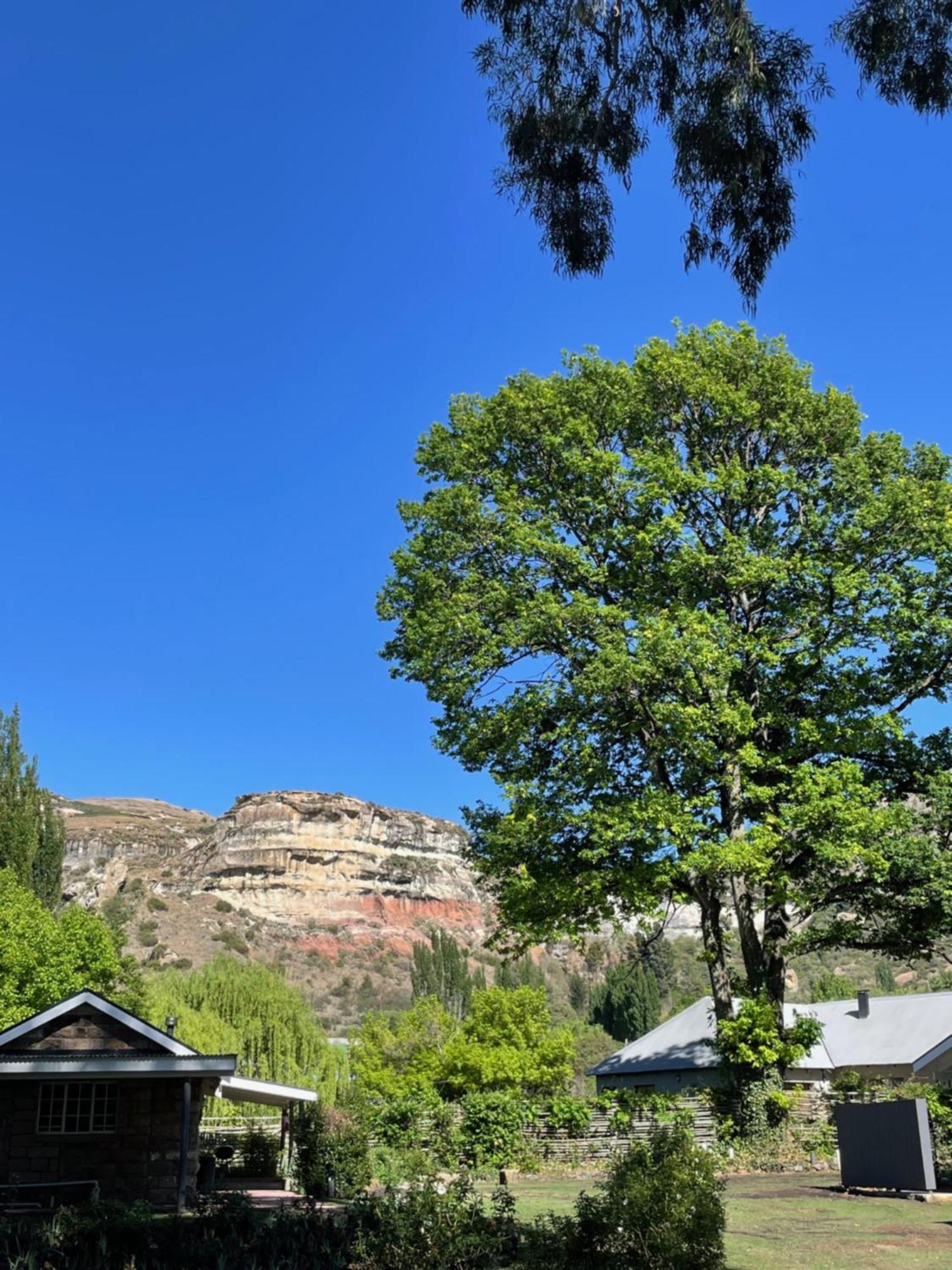 Periwinkle, Grove ,Acorn & Sage Cottages Clarens Eksteriør billede