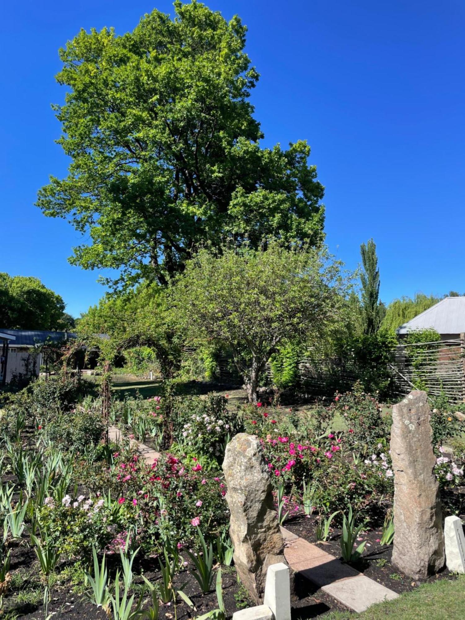 Periwinkle, Grove ,Acorn & Sage Cottages Clarens Eksteriør billede