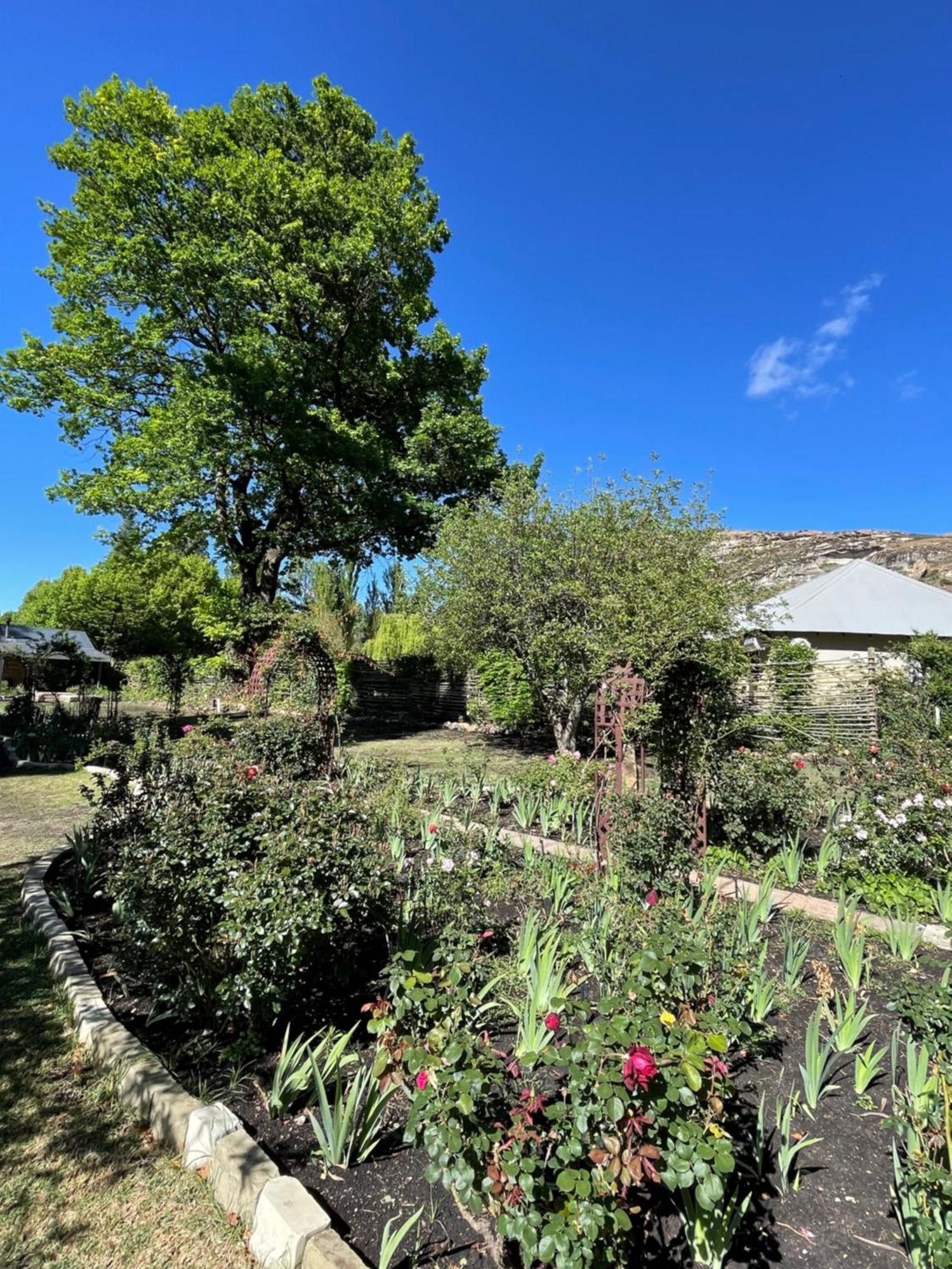 Periwinkle, Grove ,Acorn & Sage Cottages Clarens Eksteriør billede